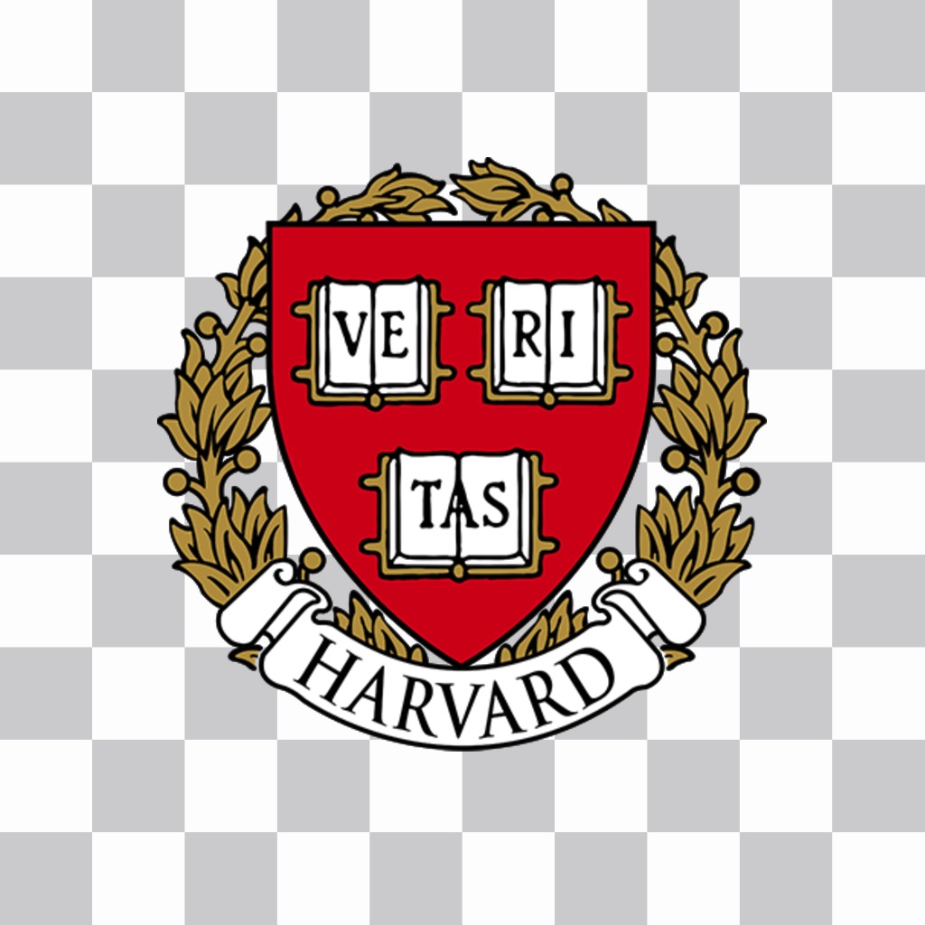 University Logos Shield