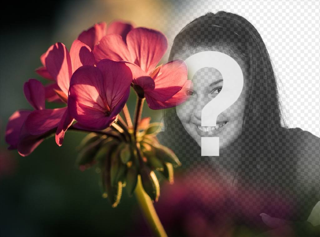 Free photo effect to your photos with a filter of a flower ..